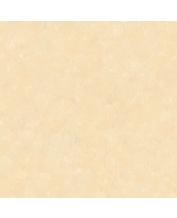 Granite Floor Tile UB-8804